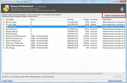 Окно Recuva Professional с таблицей восстанавливаемых файлов и их состоянием